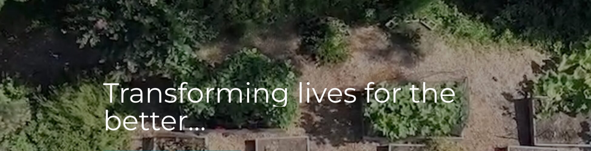 Community cover image